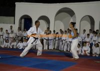 karate (88) (Αντιγραφή)
